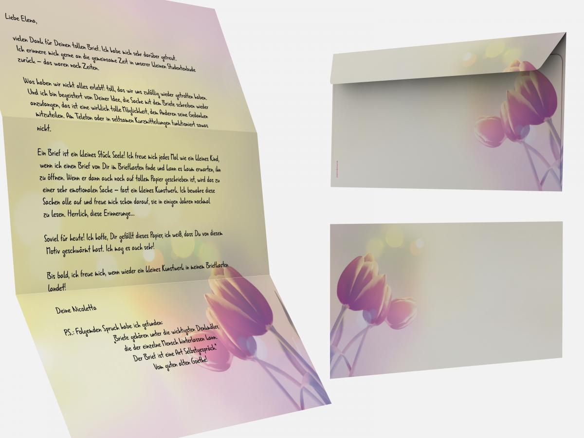 Motivpapier Tulpen im Sonnenlicht Briefpapier mit Motiv